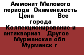 Аммонит Мелового периода. Окаменелость. › Цена ­ 2 800 - Все города Коллекционирование и антиквариат » Другое   . Мурманская обл.,Мурманск г.